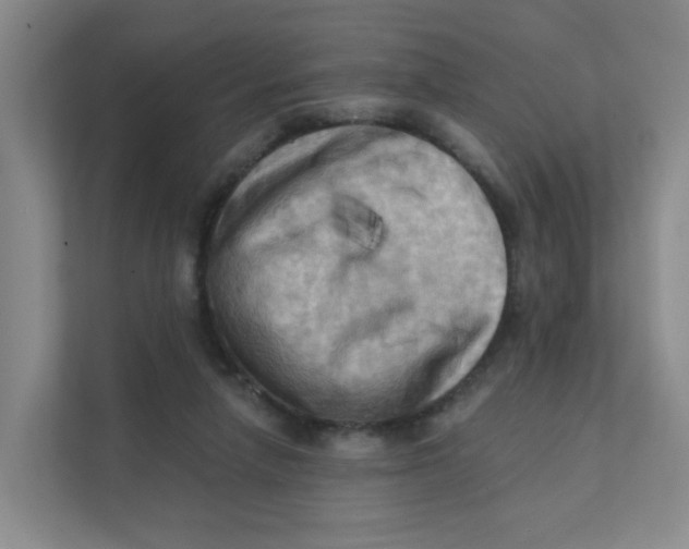 X0000111360258200907311018