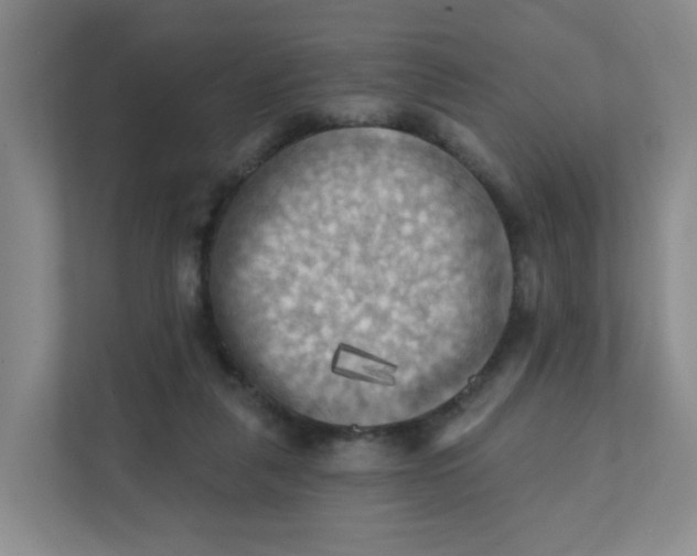 X0000111360259200907311018