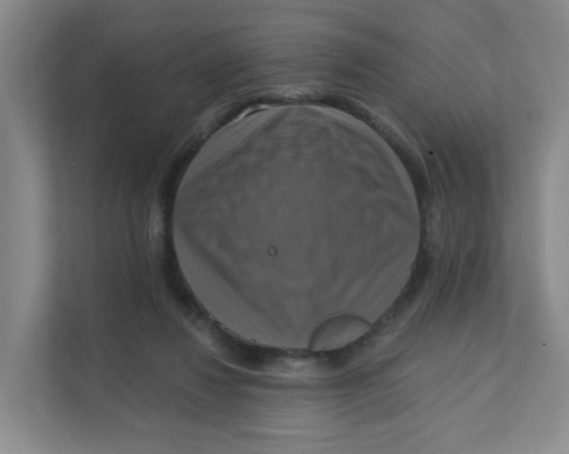 X0000111360260200907311018