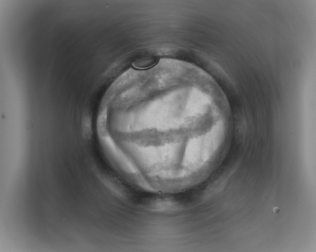 X0000111360262200907311018