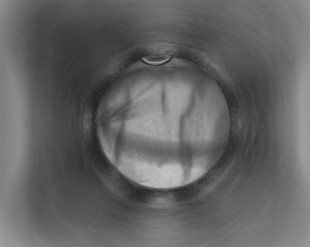 X0000111360263200907311019