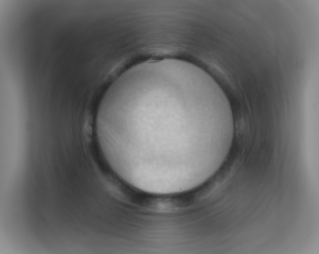 X0000111360264200907311019