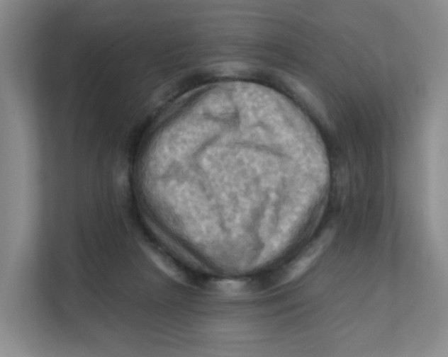 X0000111360265200907311019