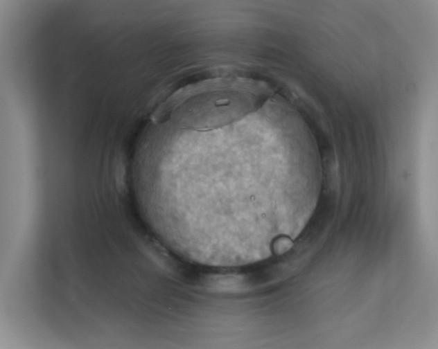 X0000111360266200907311019