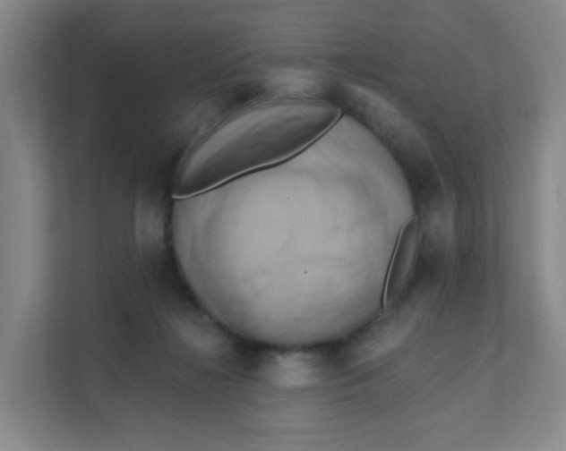 X0000111360268200907311019