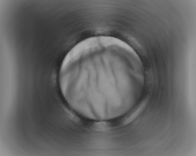 X0000111360269200907311019