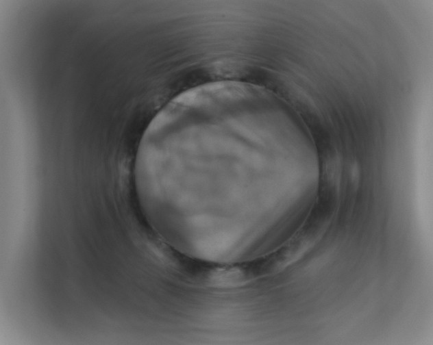 X0000111360271200907311019