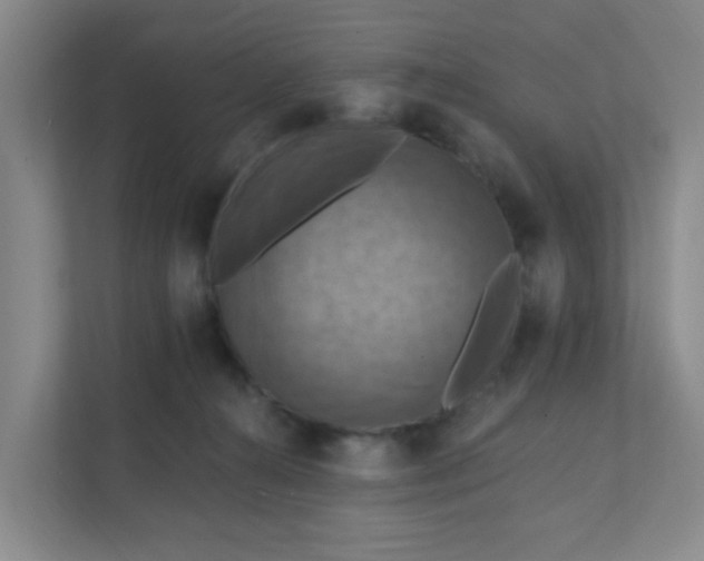 X0000111360272200907311019