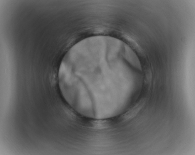 X0000111360273200907311019