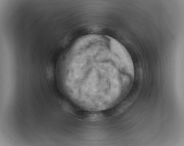 X0000111360274200907311019