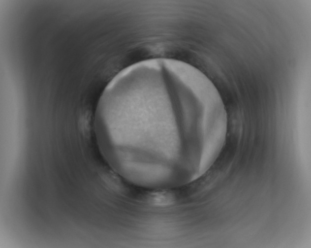 X0000111360275200907311019