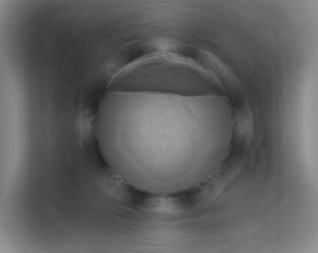 X0000111360276200907311019