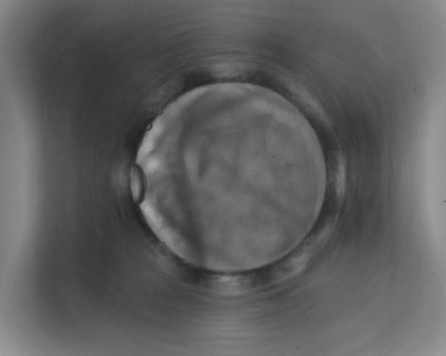 X0000111360277200907311019