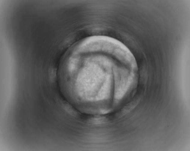 X0000111360278200907311019