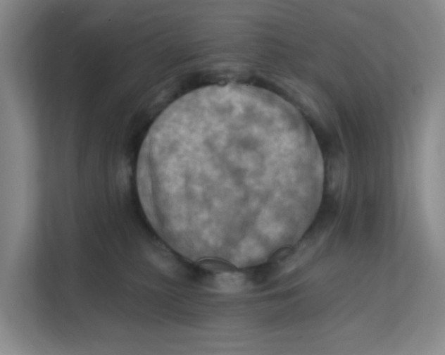 X0000111360279200907311019