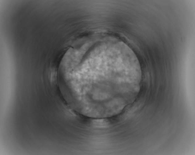 X0000111360281200907311019