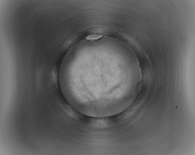 X0000111360282200907311019