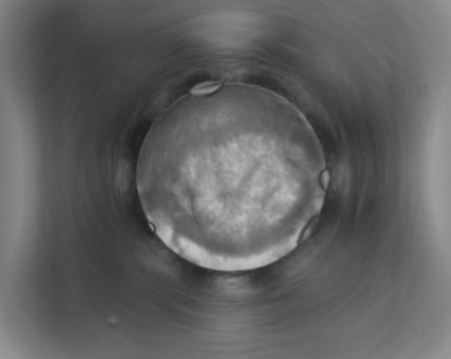 X0000111360283200907311019