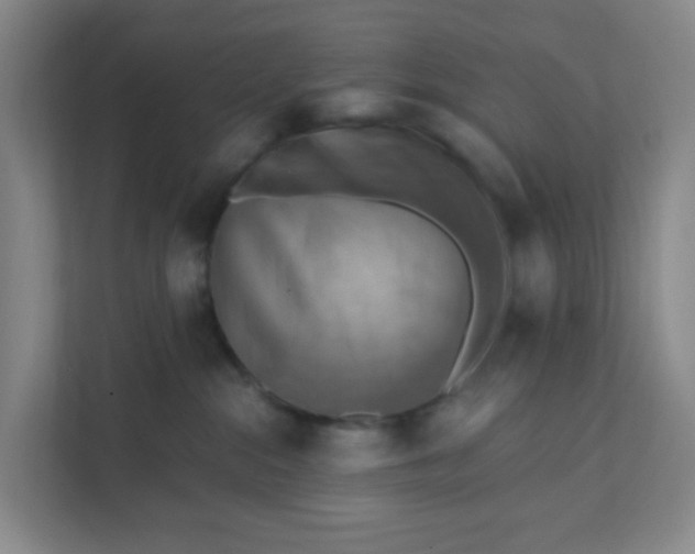 X0000111360284200907311019