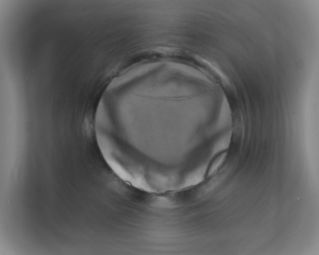 X0000111360285200907311019