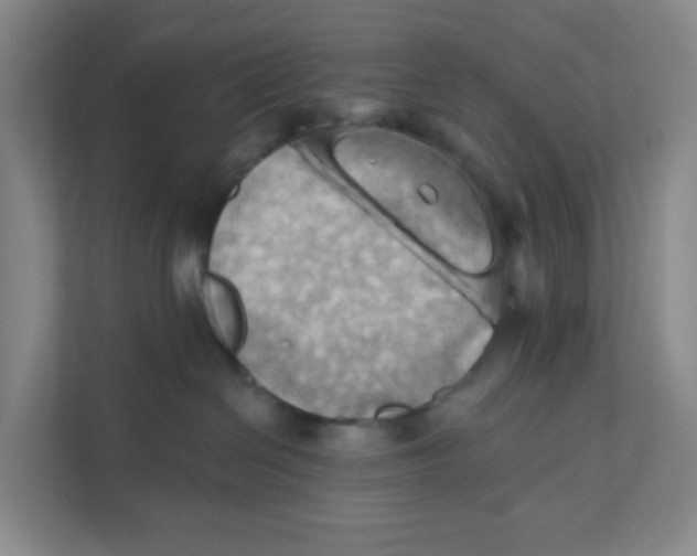 X0000111360286200907311019