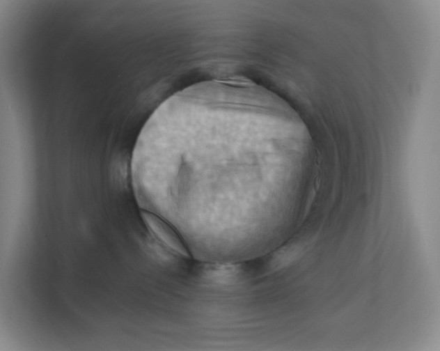 X0000111360288200907311019