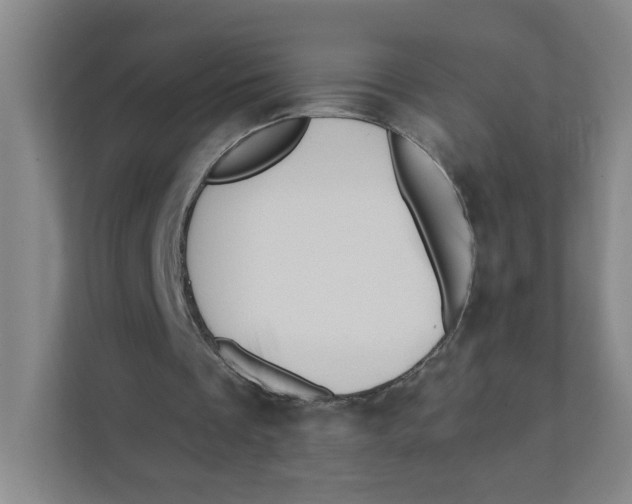 X0000111360289200907311018