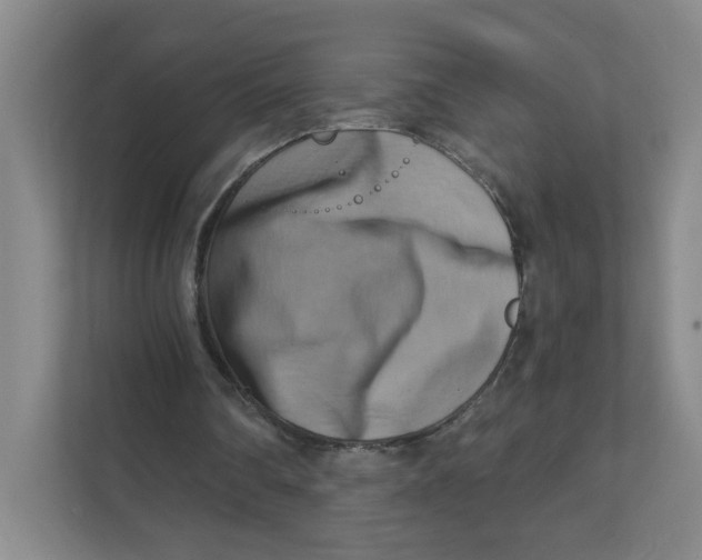 X0000111360290200907311018