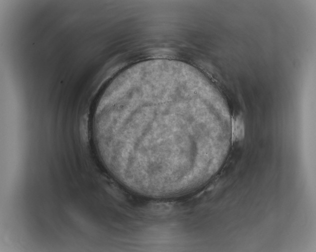 X0000111360291200907311018