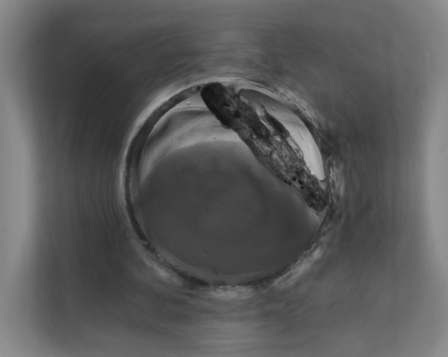 X0000111360292200907311018