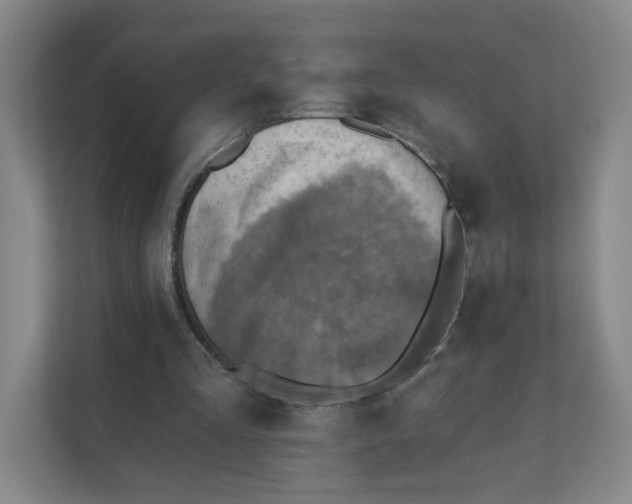 X0000111360293200907311018