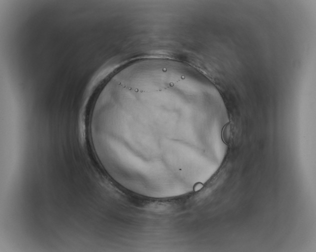 X0000111360294200907311018