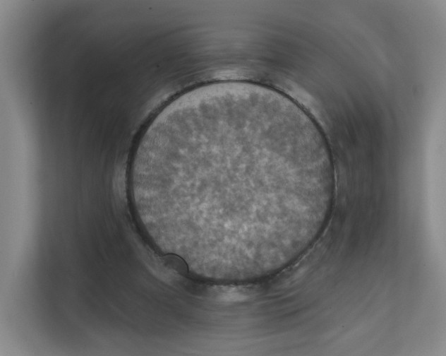 X0000111360297200907311018