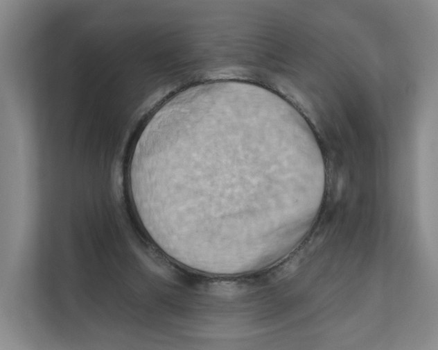 X0000111360298200907311018