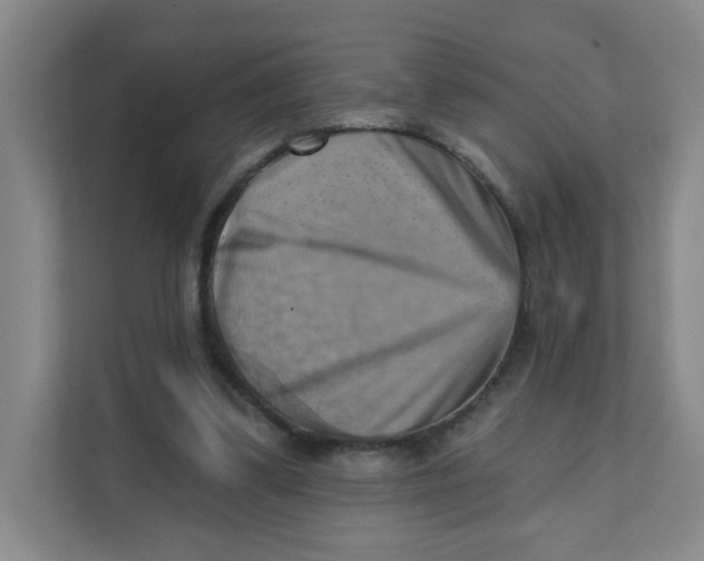 X0000111360299200907311018