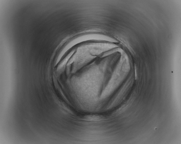 X0000111360300200907311018