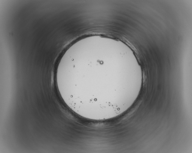 X0000111360301200907311018