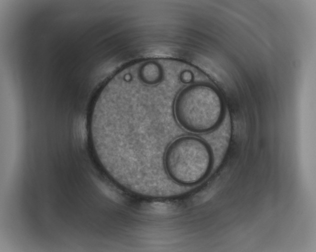 X0000111360302200907311018