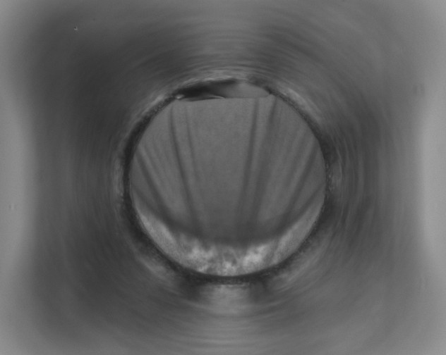 X0000111360303200907311018