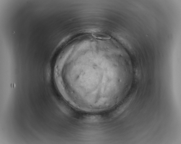 X0000111360304200907311018