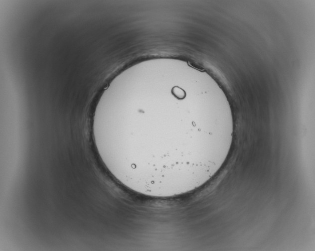 X0000111360305200907311018