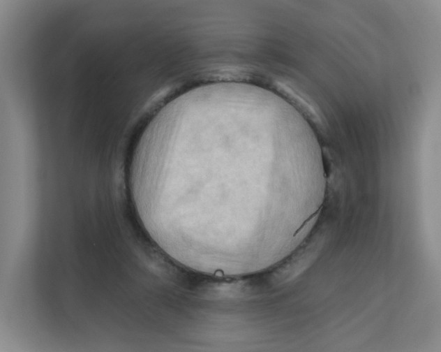 X0000111360306200907311018