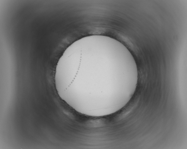 X0000111360307200907311018