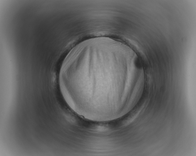 X0000111360308200907311018