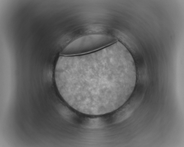 X0000111360309200907311018