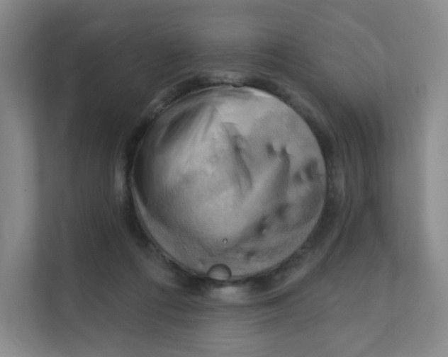 X0000111360312200907311018