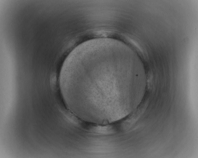 X0000111360314200907311018