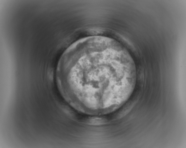 X0000111360315200907311018