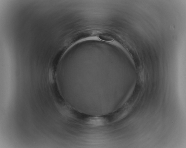 X0000111360316200907311018