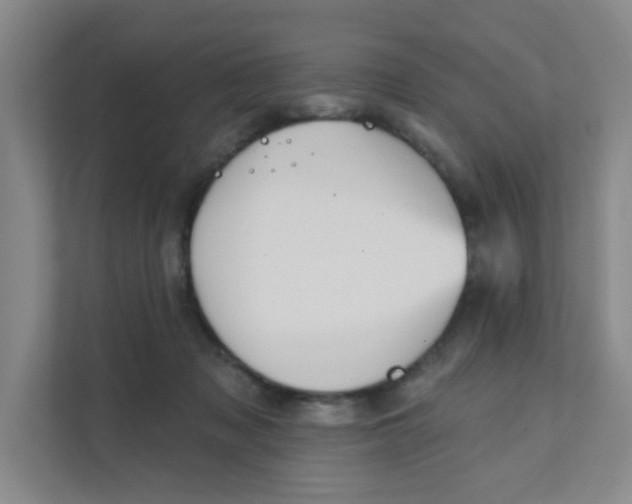 X0000111360317200907311018